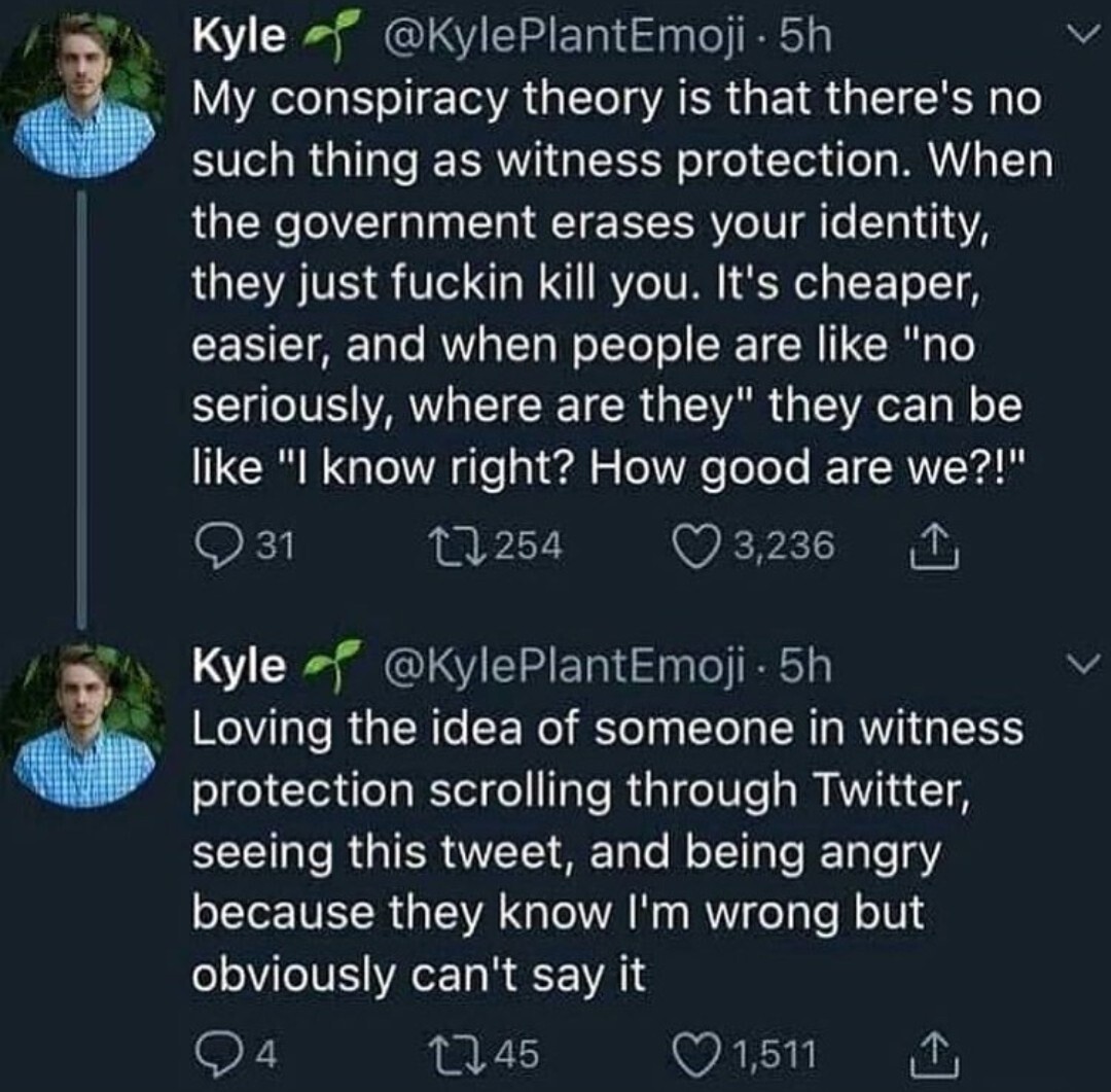 witness protection.jpg